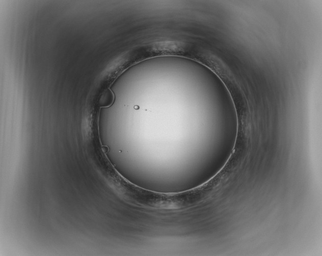 X0000110730735200906121448