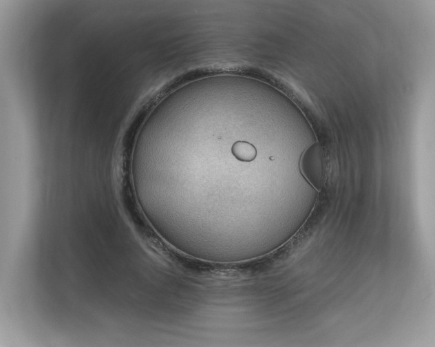 X0000110730736200906121448