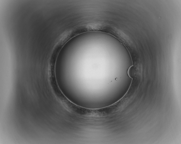 X0000110730738200906121448