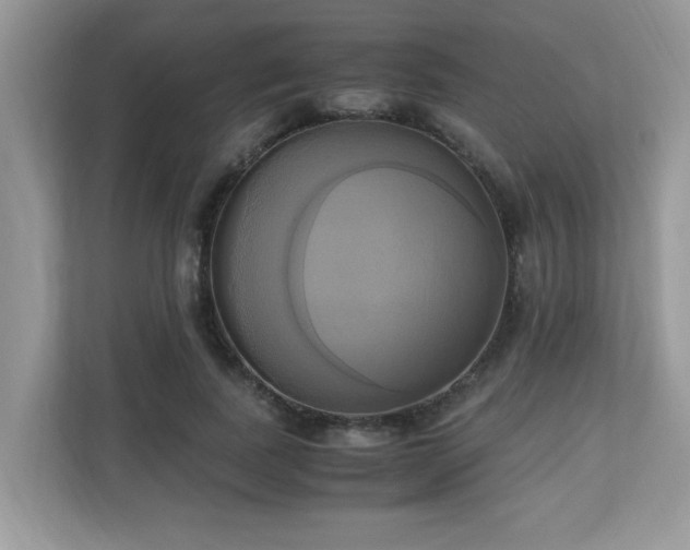 X0000110730739200906121448