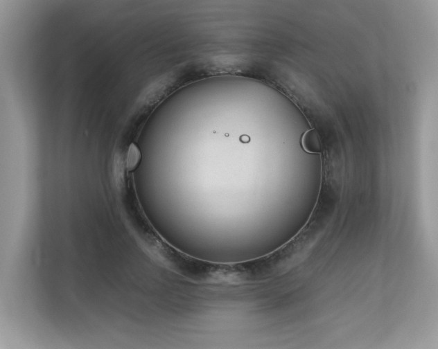 X0000110730742200906121448