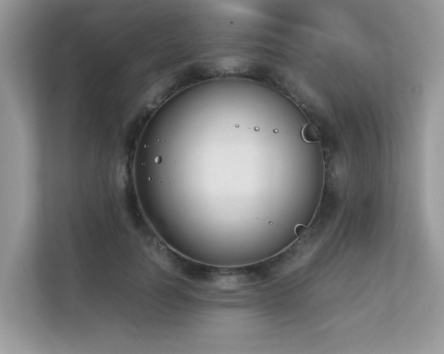X0000110730746200906121448