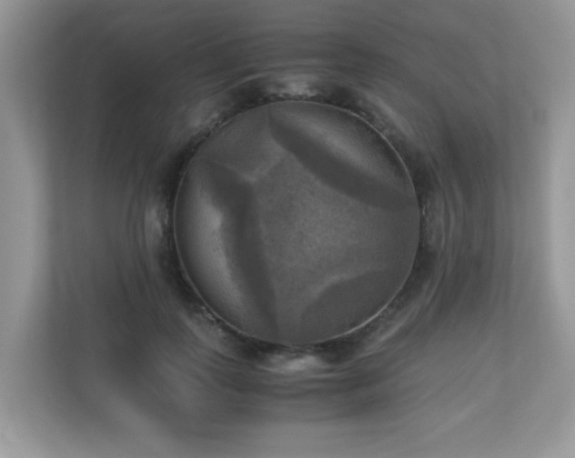 X0000110730747200906121448