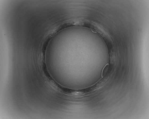 X0000110730748200906121448