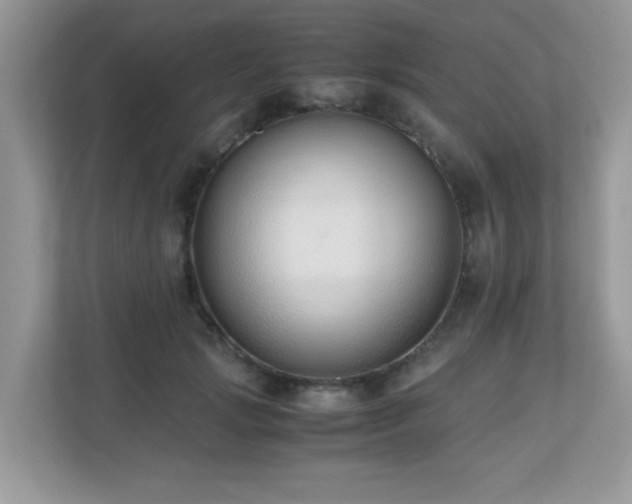 X0000110730749200906121448