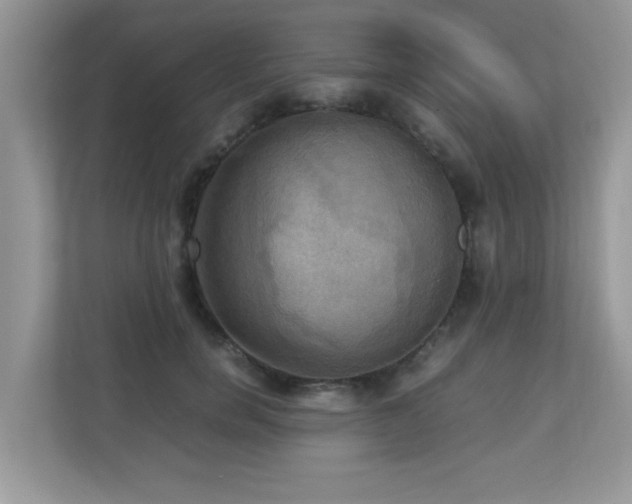 X0000110730750200906121448