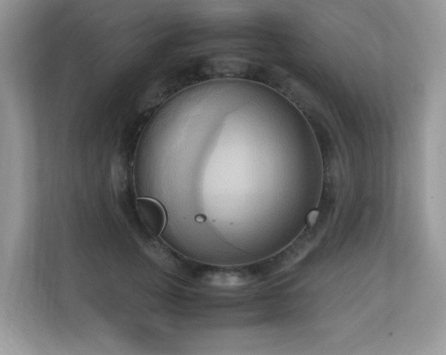 X0000110730751200906121448