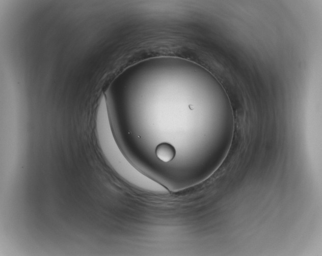 X0000110730752200906121448