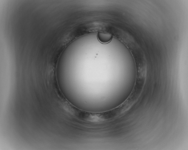 X0000110730753200906121448
