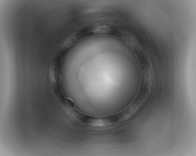 X0000110730755200906121448