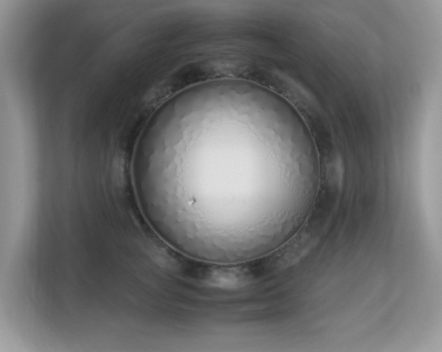 X0000110730757200906121448