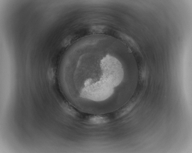 X0000110730759200906121448