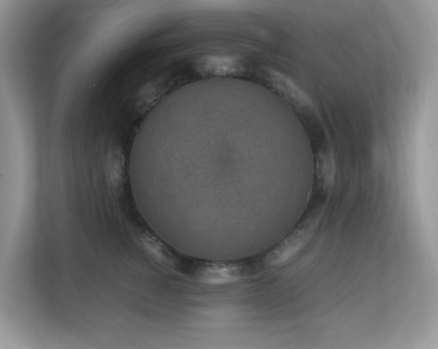 X0000110730760200906121448
