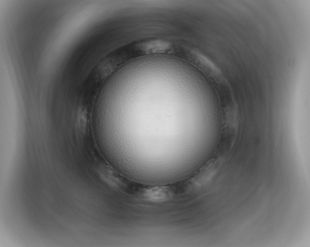 X0000110730761200906121448