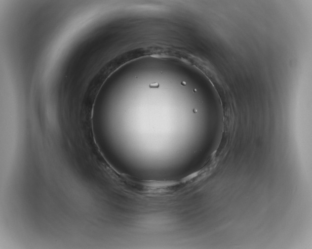 X0000110730762200906121448