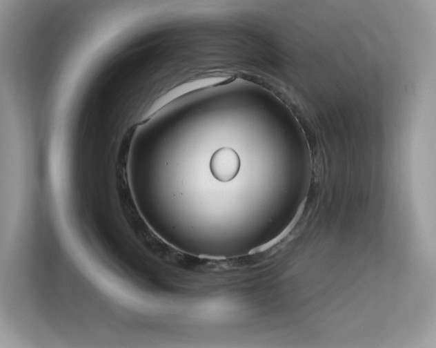 X0000110730764200906121448