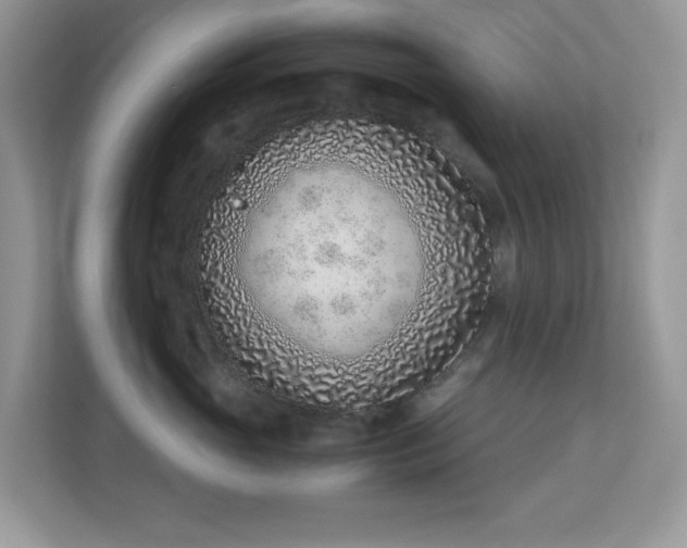 X0000110730765200906121448