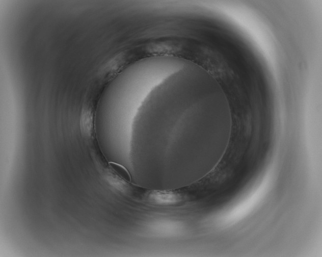 X0000110730767200906121448