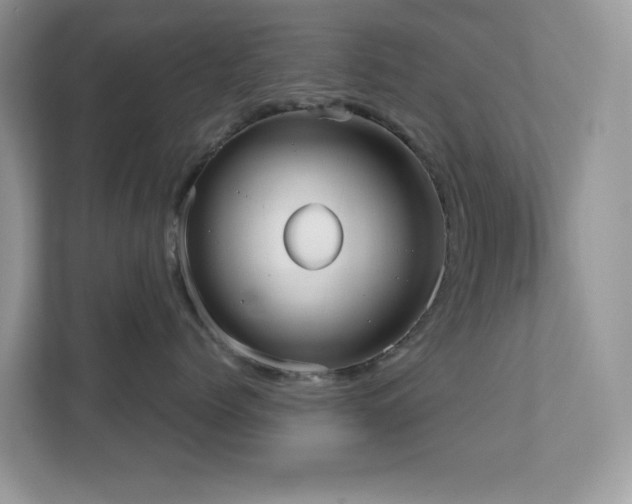 X0000110730768200906121448