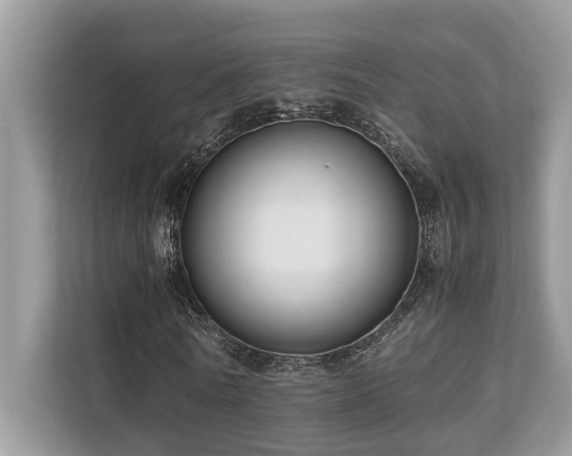 X0000110730770200906121448