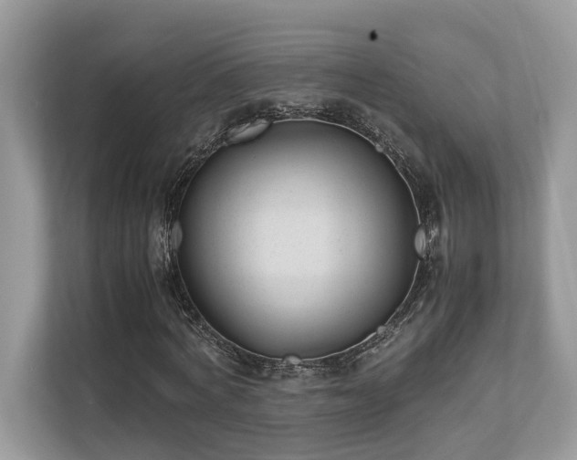 X0000110730772200906121448
