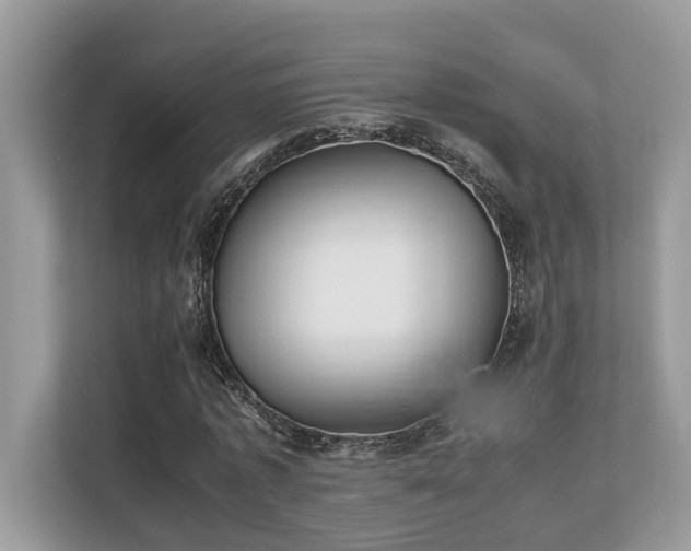X0000110730773200906121447