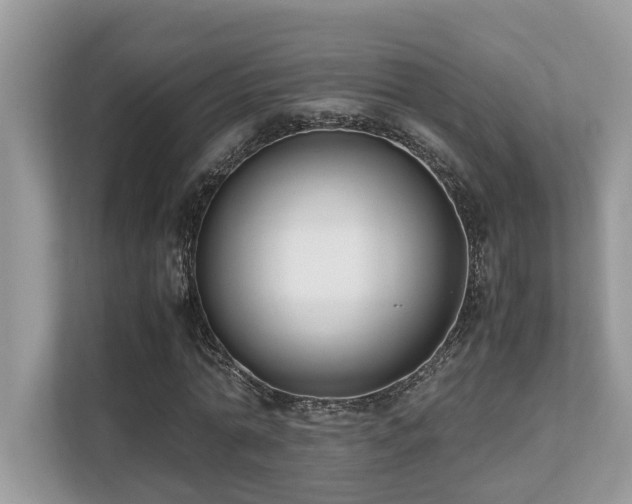 X0000110730774200906121447
