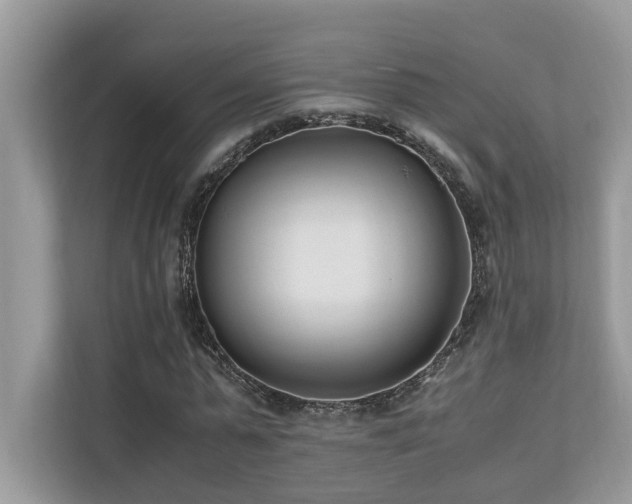 X0000110730775200906121447
