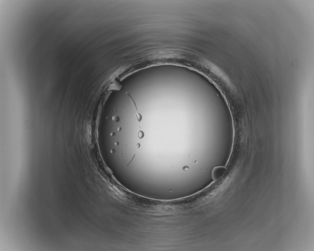 X0000110730777200906121447