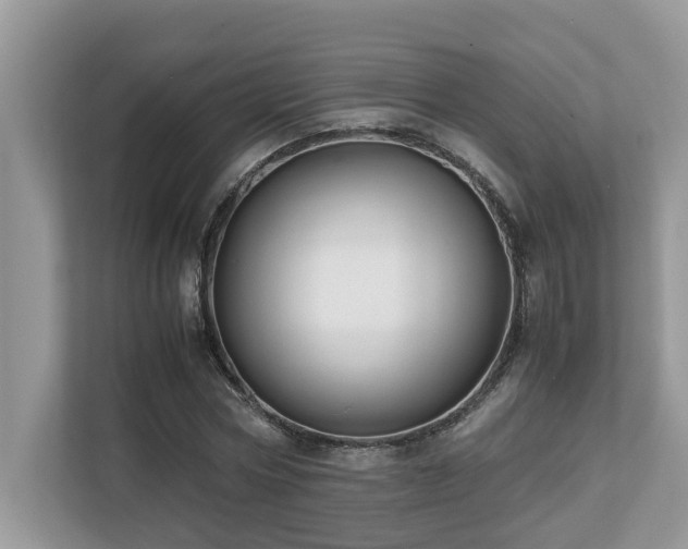 X0000110730778200906121447