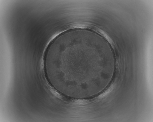 X0000110730779200906121447