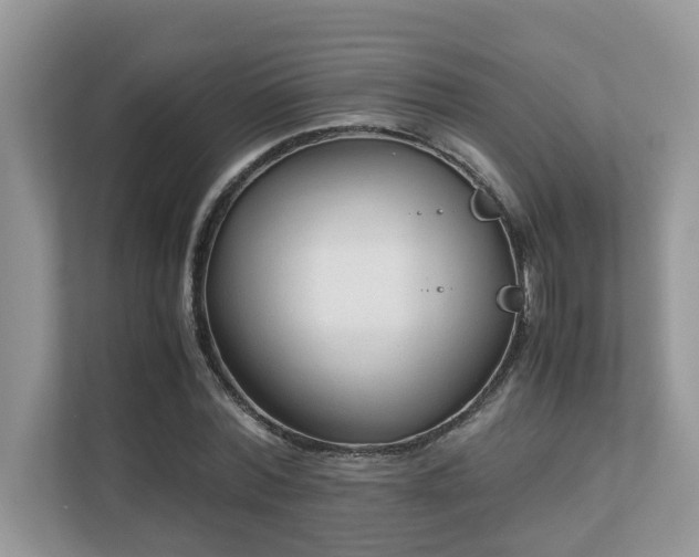 X0000110730780200906121447