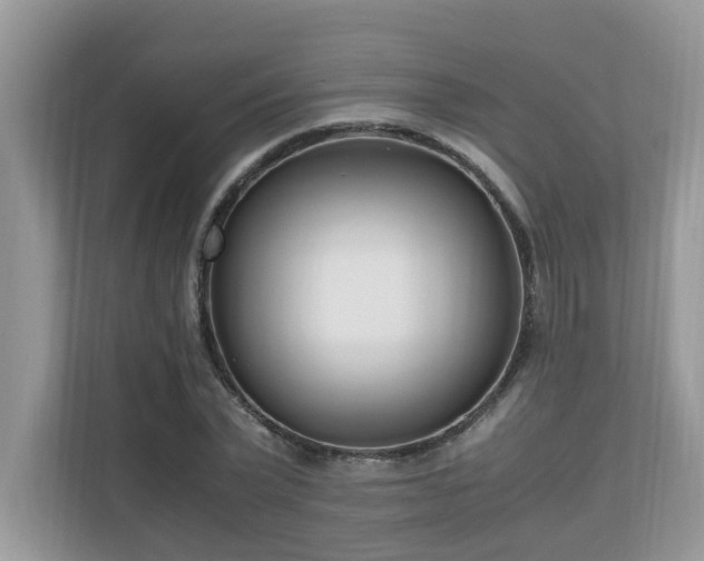 X0000110730783200906121447