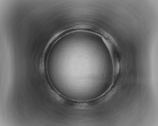 X0000110730784200906121447