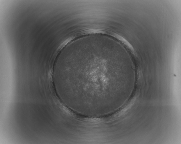 X0000110730785200906121447