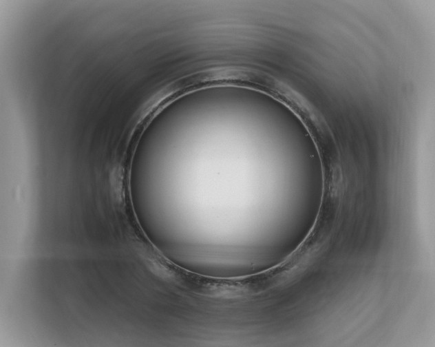 X0000110730786200906121447