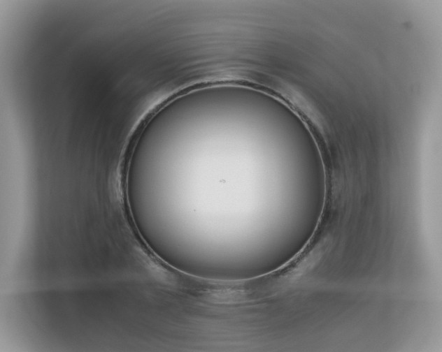 X0000110730789200906121447