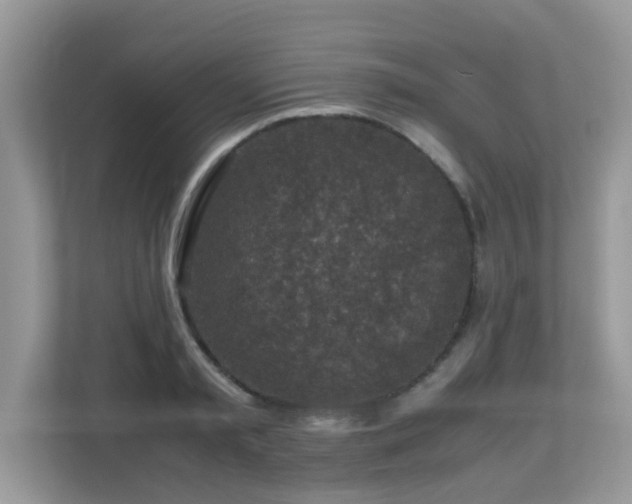 X0000110730797200906121447