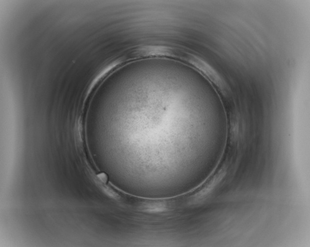 X0000110730798200906121447