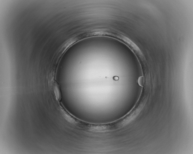 X0000110730801200906121447