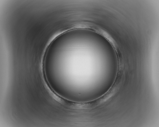 X0000110730803200906121447