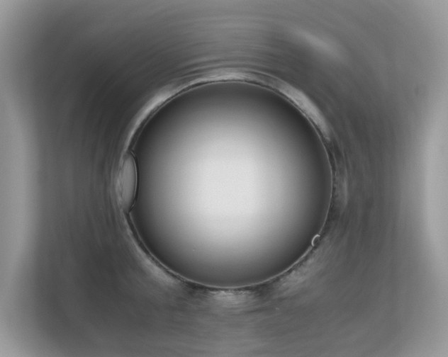 X0000110730805200906121447