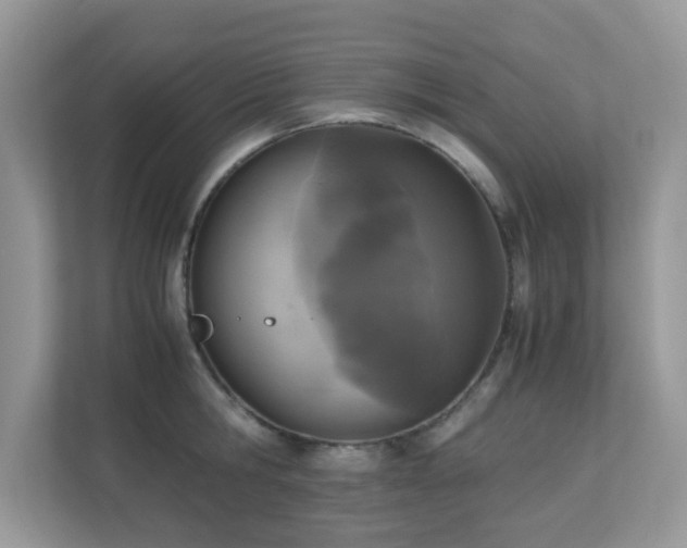 X0000110730806200906121447