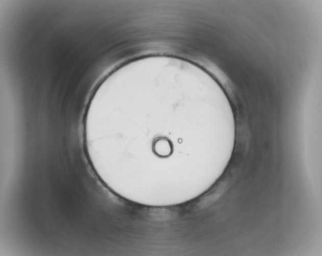 X0000110730807200906121447