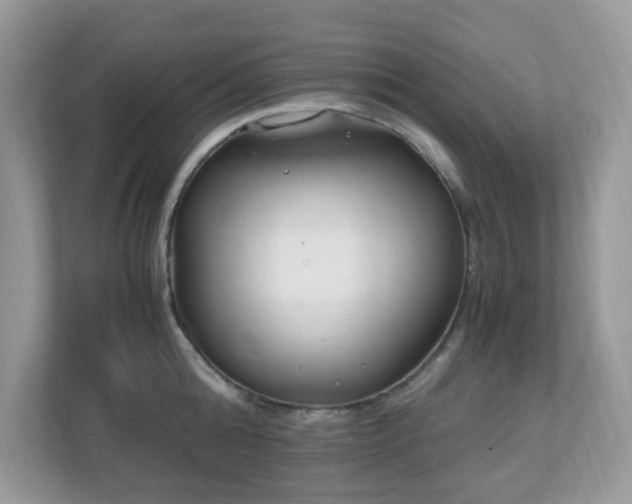 X0000110730808200906121447
