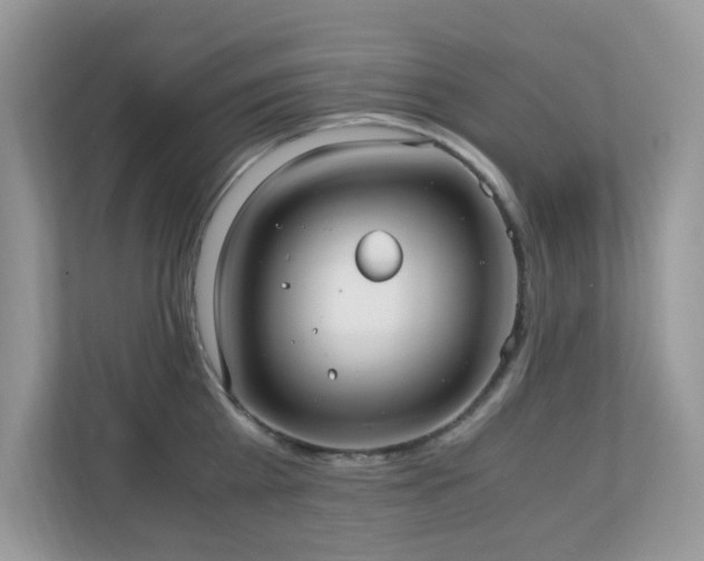 X0000110730809200906121447
