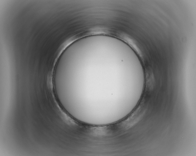 X0000110730810200906121447