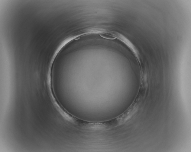 X0000110730811200906121447