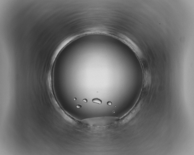 X0000110730812200906121447