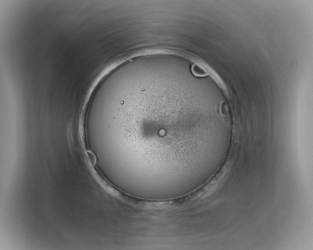 X0000110730813200906121447